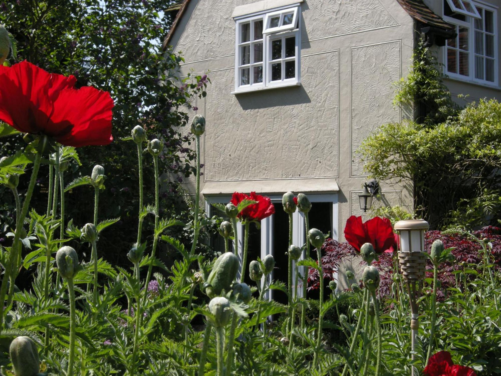 Motts Bed & Breakfast Great Dunmow Esterno foto