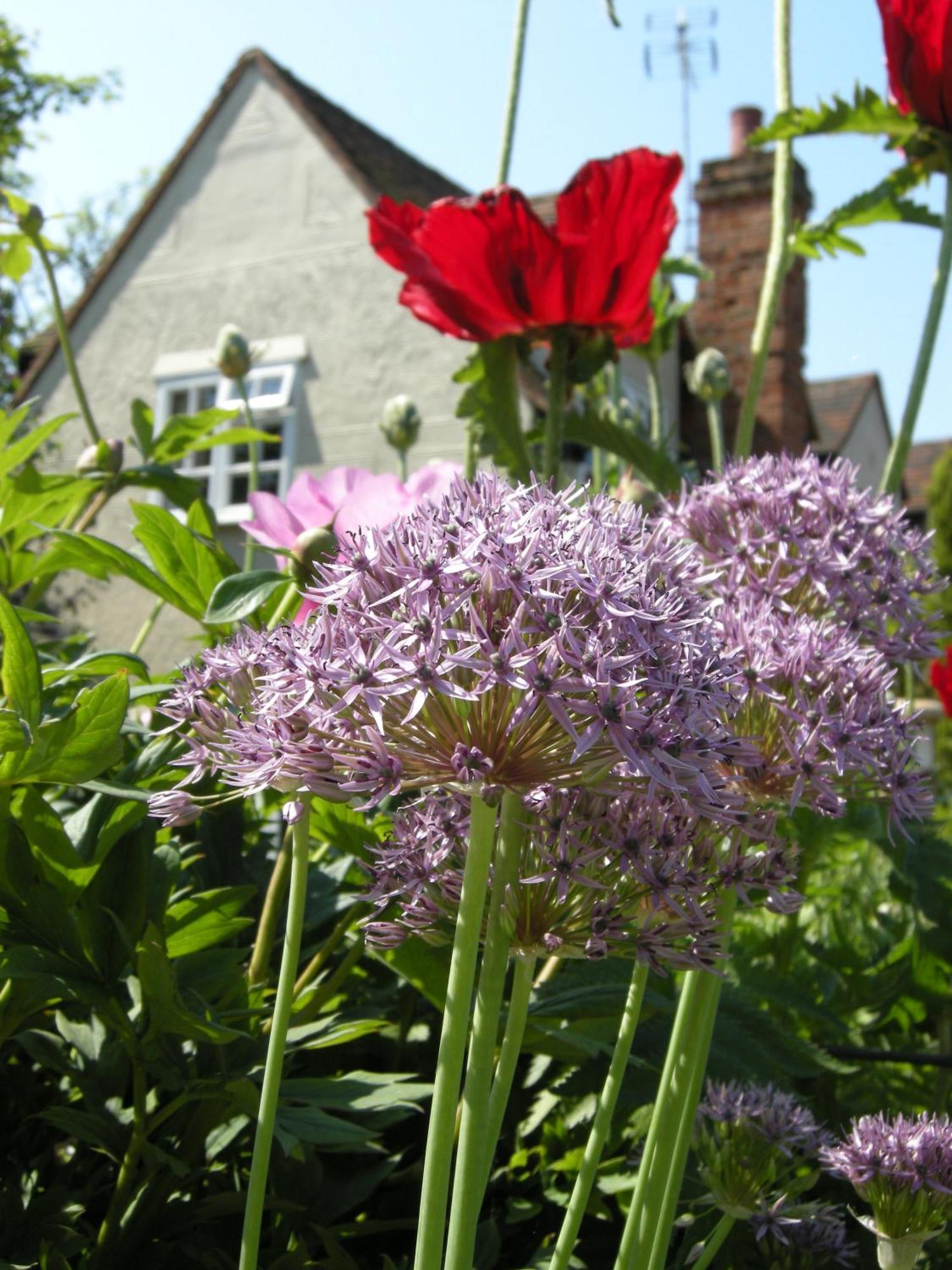 Motts Bed & Breakfast Great Dunmow Esterno foto