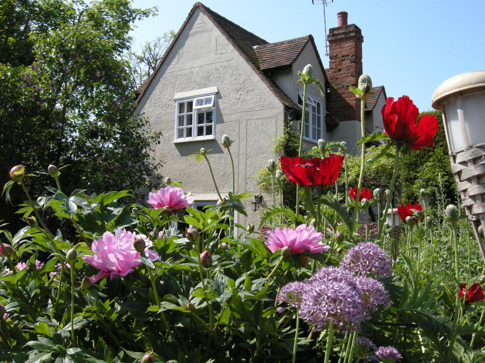 Motts Bed & Breakfast Great Dunmow Esterno foto